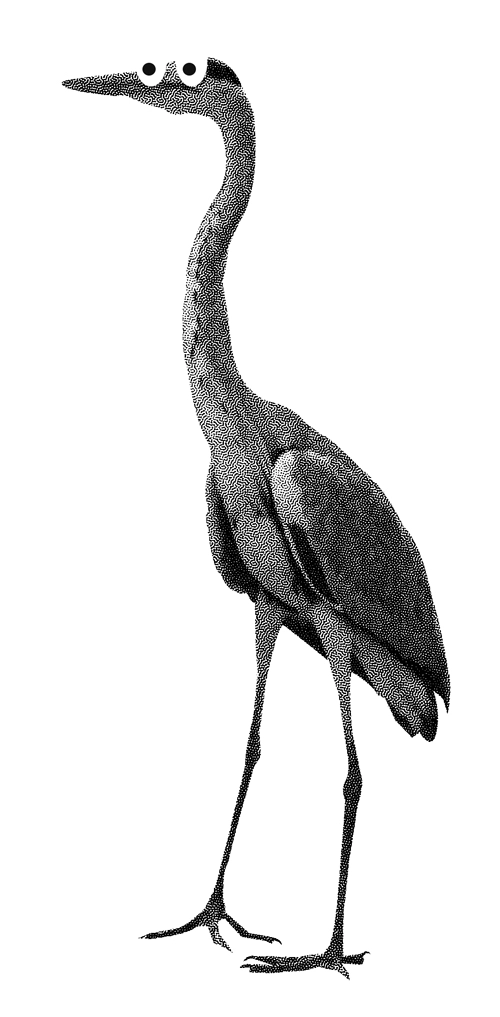 Visuel représentant un héron avec des yeux type bd