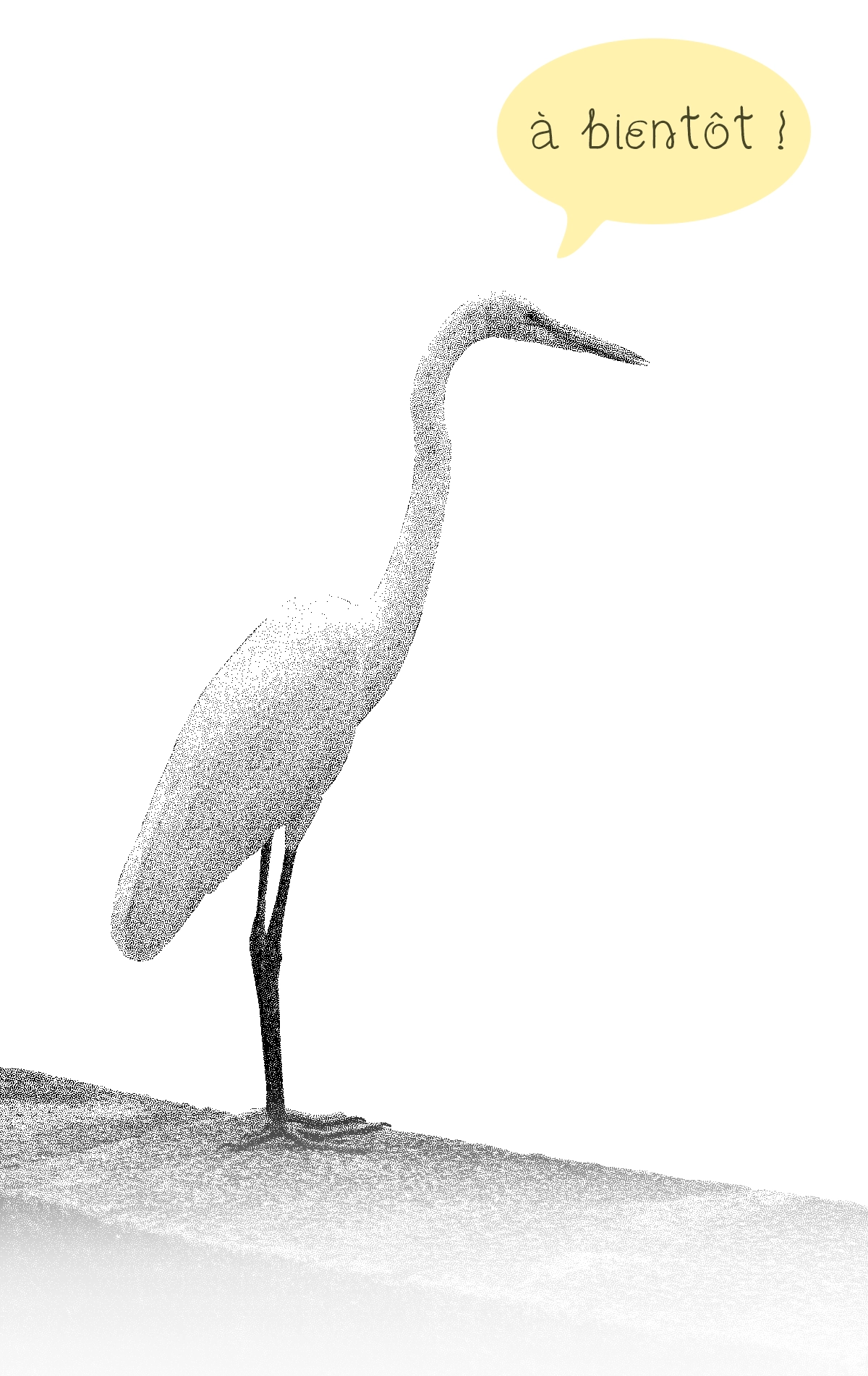 Visuel représentant un héron