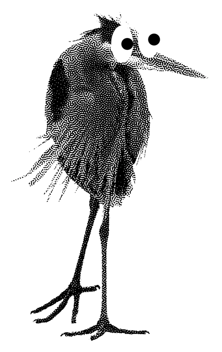 Visuel représentant un héron avec des yeux type bd