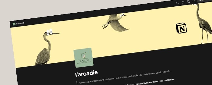 Outils arcadie pair-aidance